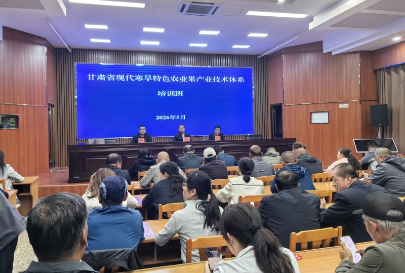 甘肃省现代寒旱特色农业果体系葡萄育种和栽培岗联合敦煌试验站开展技术培训